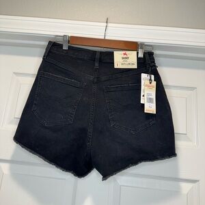 Idyllwind Black Jean Shorts - New with tags!